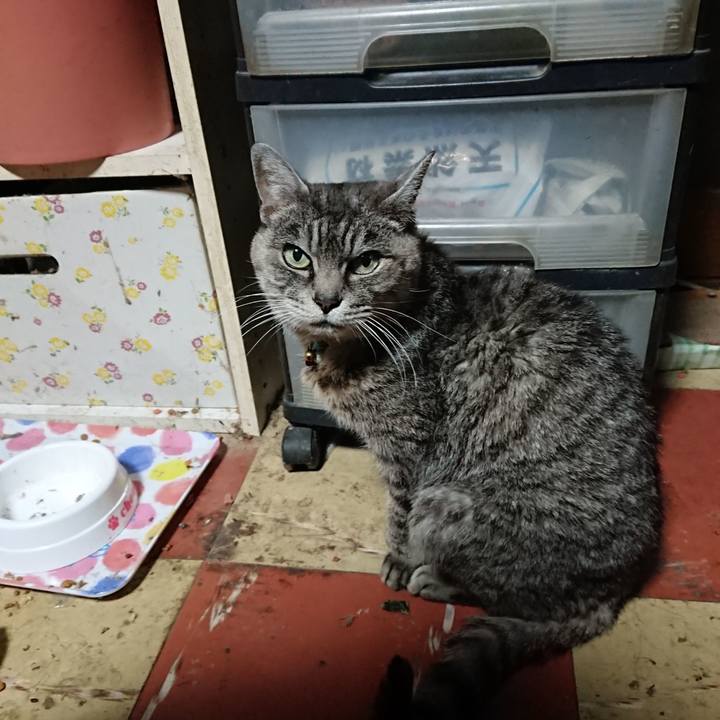 1709cd24 34e3 4ef8 9d08 e6bb9c6cf131 1575403055879