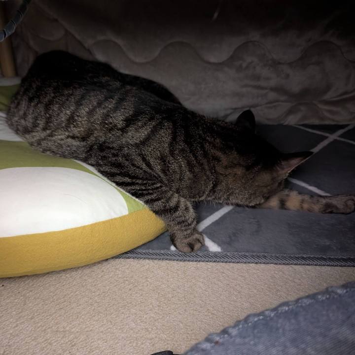 1709f1c0 ffe5 426e 9682 3ab4f355e79c 1745654509354