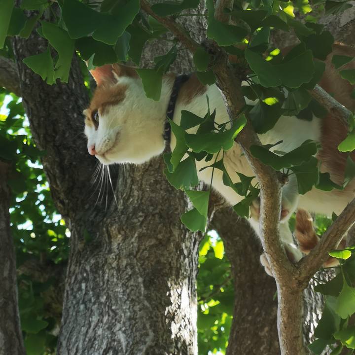 170a3db4 2f8c 4177 82cf c52857926d26 1559991431074