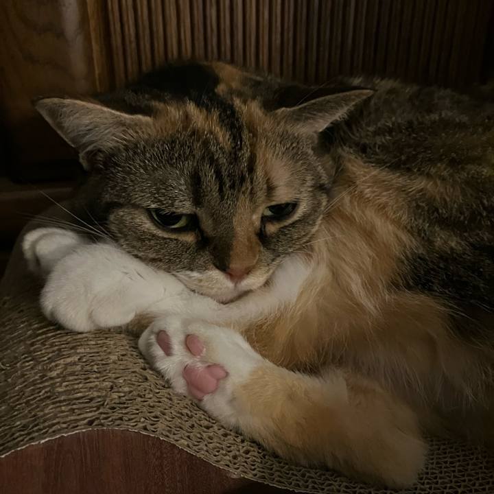 170a57b3 42a8 4911 9b89 deb438a918b2 1757601883551