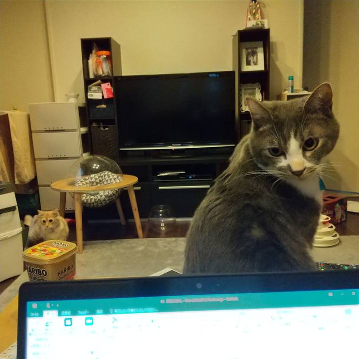 170a6953 4741 4302 82b9 d6cbb6fbade9 1610667923908