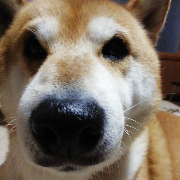 170a731c 39f3 4039 b83b d94b8ce2a062 1643687689539