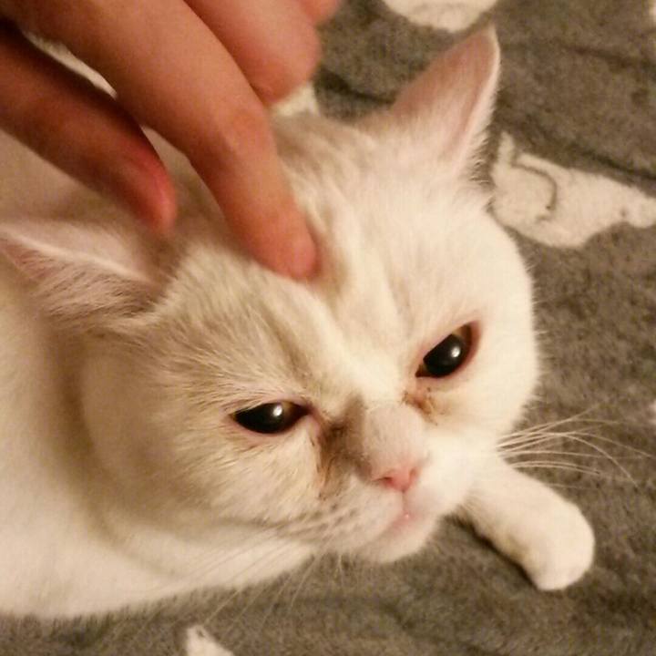 170a7521 5562 4725 bebd 14822549d0bf 1524655926141