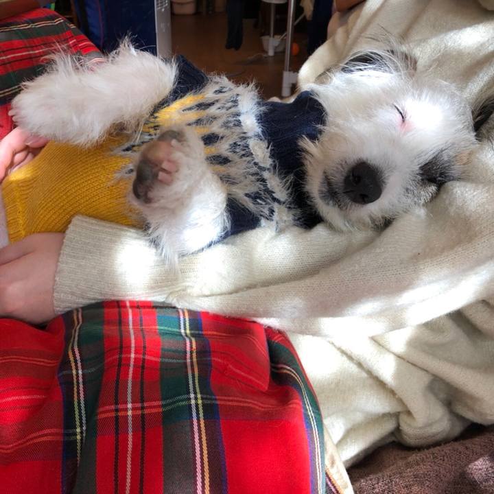 170a8213 426b 4d9a 92f3 a093f1fdd298 1578197641029