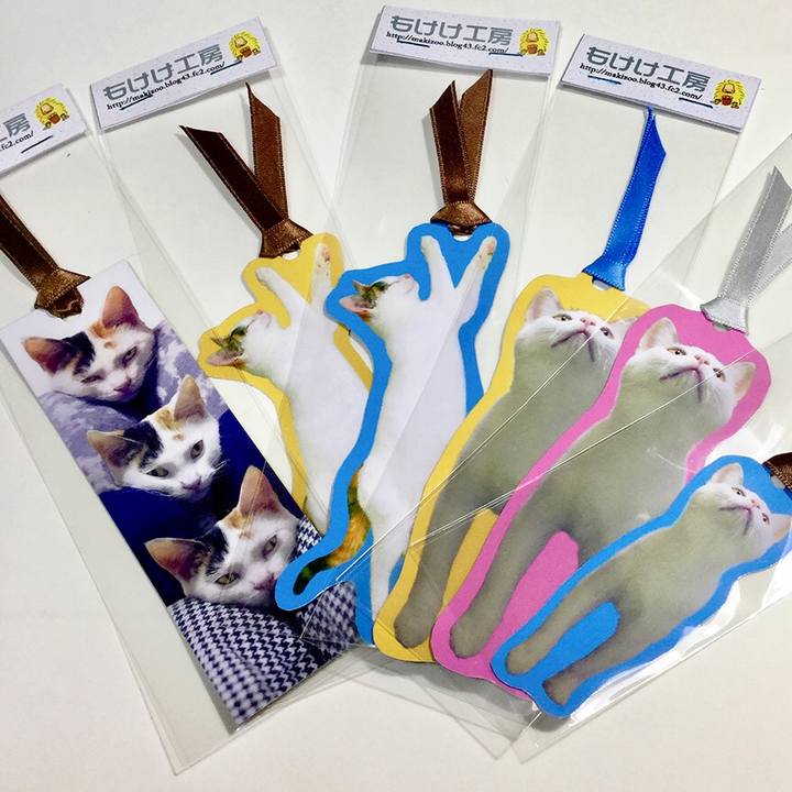 170ab754 6384 41fa 90c0 a5545268692c 1550723298598