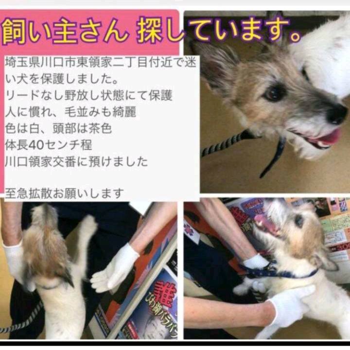 170ac716 0da9 4d75 a456 a89f1a80fda8 1536529653903