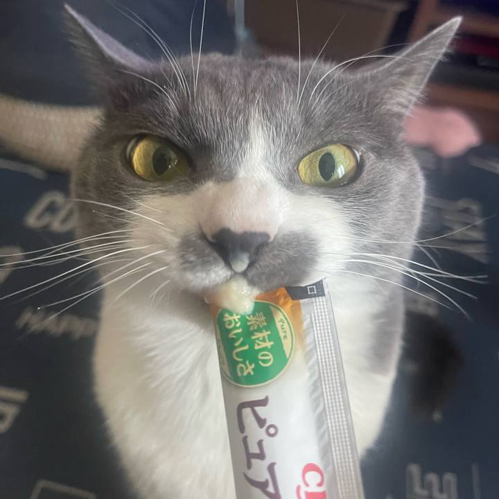 170b0957 f61a 427c 9b32 c92ac6ecac51 1715236290053