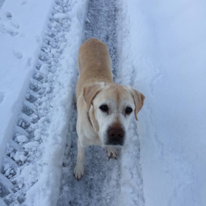 170b3b62 ec86 4db7 a1da 4b7390ddc7d3 1518219456119