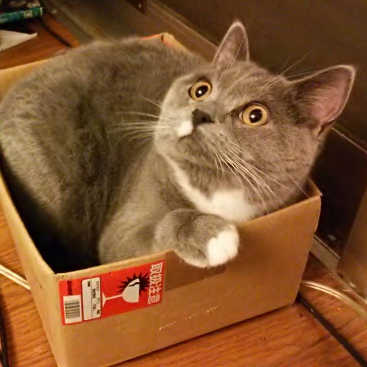 170b5dd6 d9a3 404c ab7b c13b1916615c 1544862517491