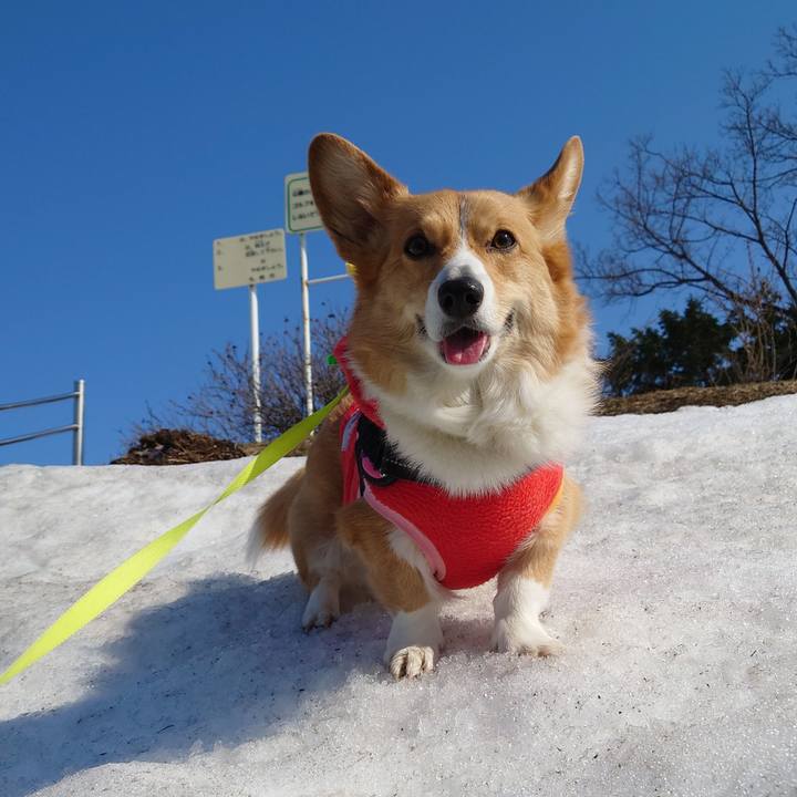 170b69b1 858f 4292 95f2 6096510167a7 1773972370034