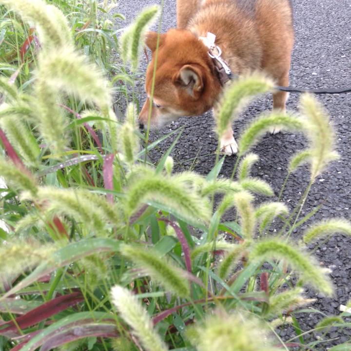 170b7b4a bb0e 4ca2 9e64 e3d75c96a839 1508909928038