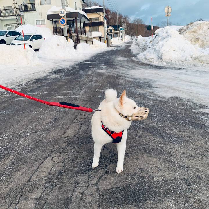 170c07ab ded2 439b bc18 eae751611dca 1677710039792