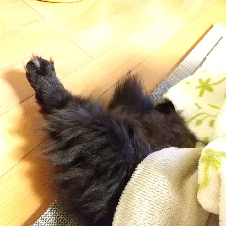 170c14c0 c3a5 4993 a8aa 1f46c29dbcdd 1580386466772