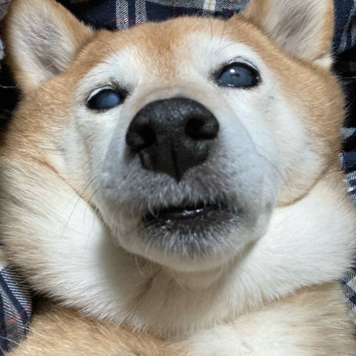 170c1a33 75fa 4413 b386 82de4072b235 1708385999399