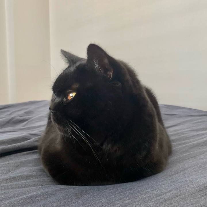 170c1f80 ecad 4668 bbbe 8ab910ca14b3 1638350410725