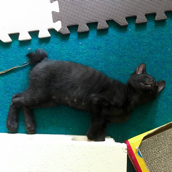 170c4391 7c76 42cb bf53 6d3be84c36a7 1626687879317