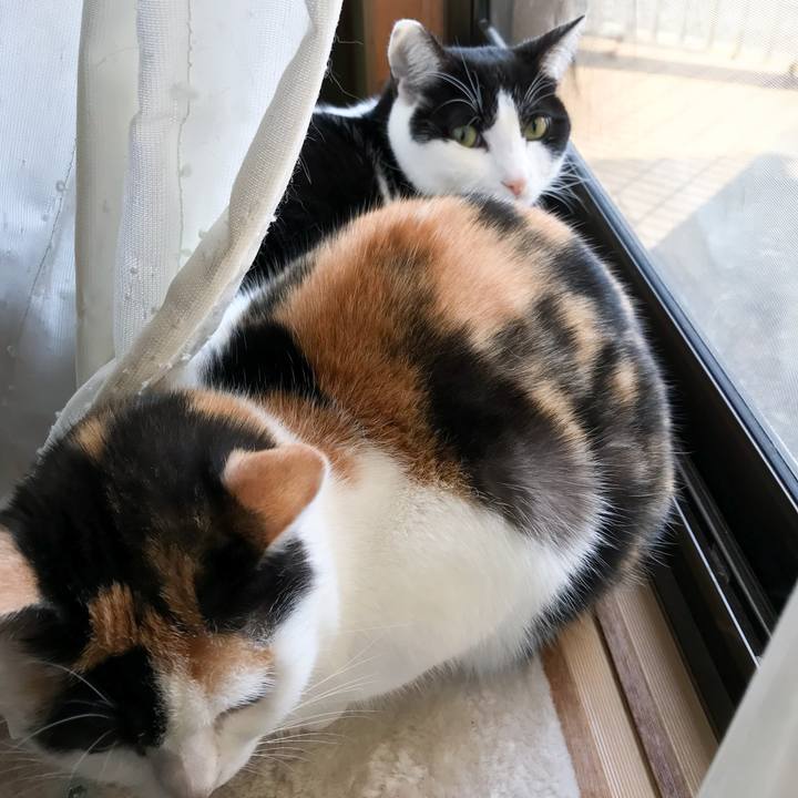 170c5ede 9b86 4571 b6ad 07425543116b 1519722047511