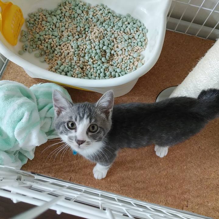 170c7ab9 3f1a 4356 9079 e6861fb6d2d2 1563498616075