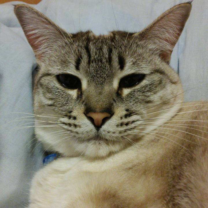 170ccc0b b57f 47a6 8636 e742bd0153ef 1517928498470