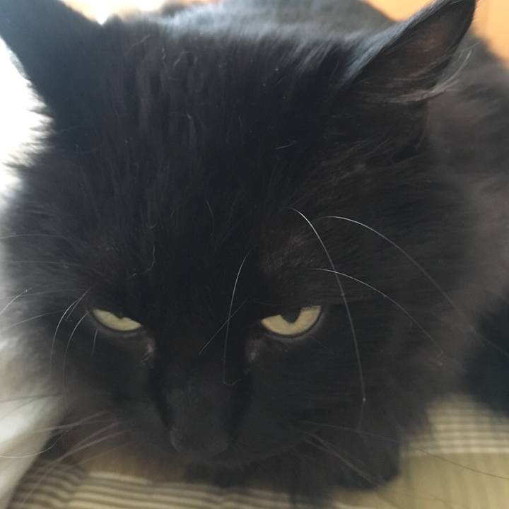 170ce888 63db 4c30 817a 757771e68501 1545098184824