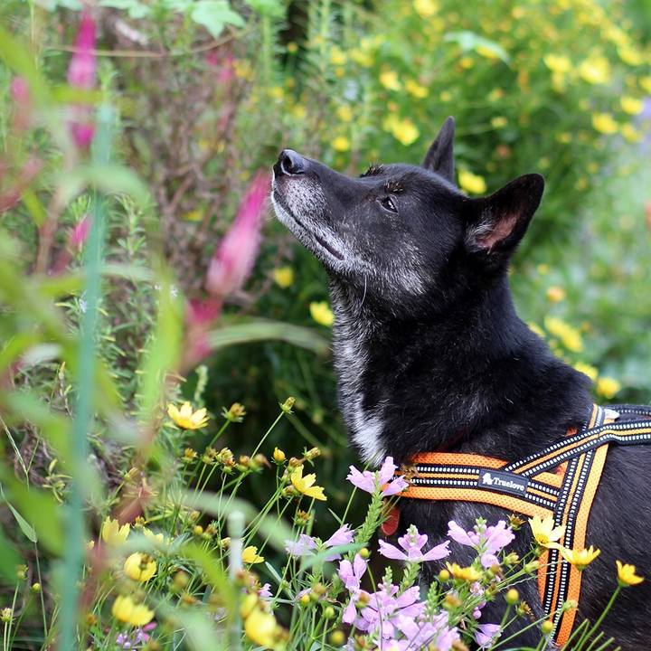 170d1e40 2043 41ff 9318 0fafae3eb85b 1631692233751