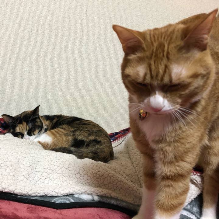 170d5982 f001 4fce 9bb3 2cb6431b522f 1575721599495