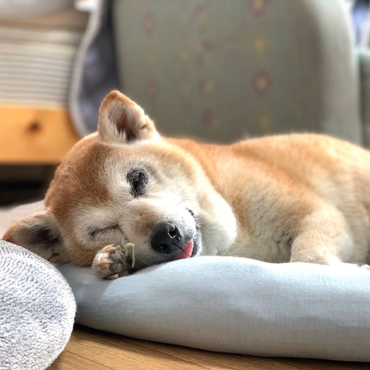 170d6e8a 09a6 4eae a1f2 5d971119e382 1590118747547