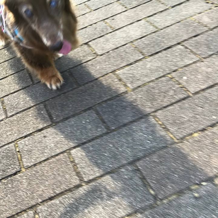 170d6eb4 6ada 47b6 b876 328e86d36fdd 1531783977572