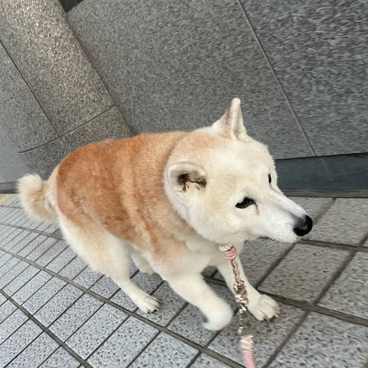 170d76ef b16b 41af bbba 55ee60f41543 1700127770979