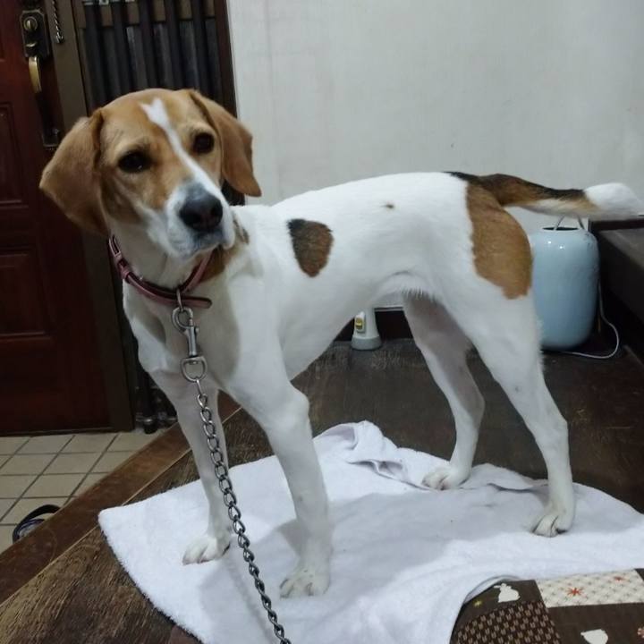 170d8120 1022 4735 8b89 b7dbe948a207 1582373631852