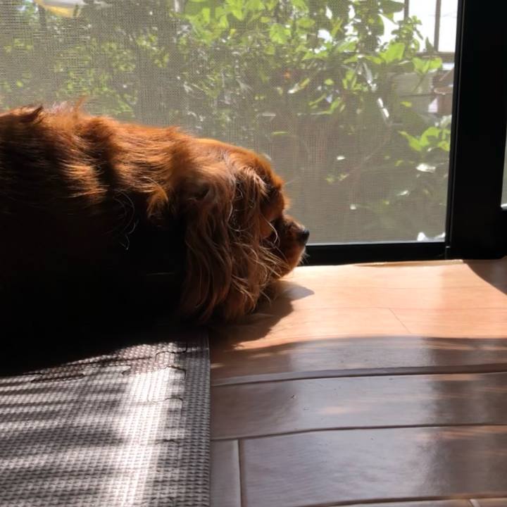 170d8845 3ed7 4de4 84e2 d2830500a81b 1631928997807