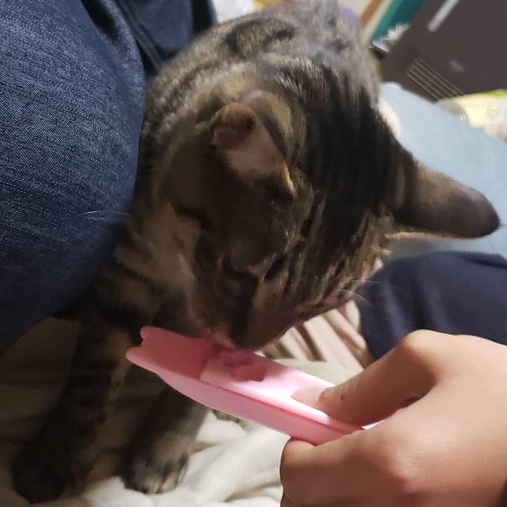 170d9c09 fc93 4f93 9400 dd99ca464b8e 1546939638539