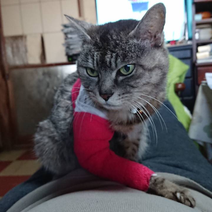 170ddd9a 1b54 41fa 9b0a ecc118fa7570 1586670722129