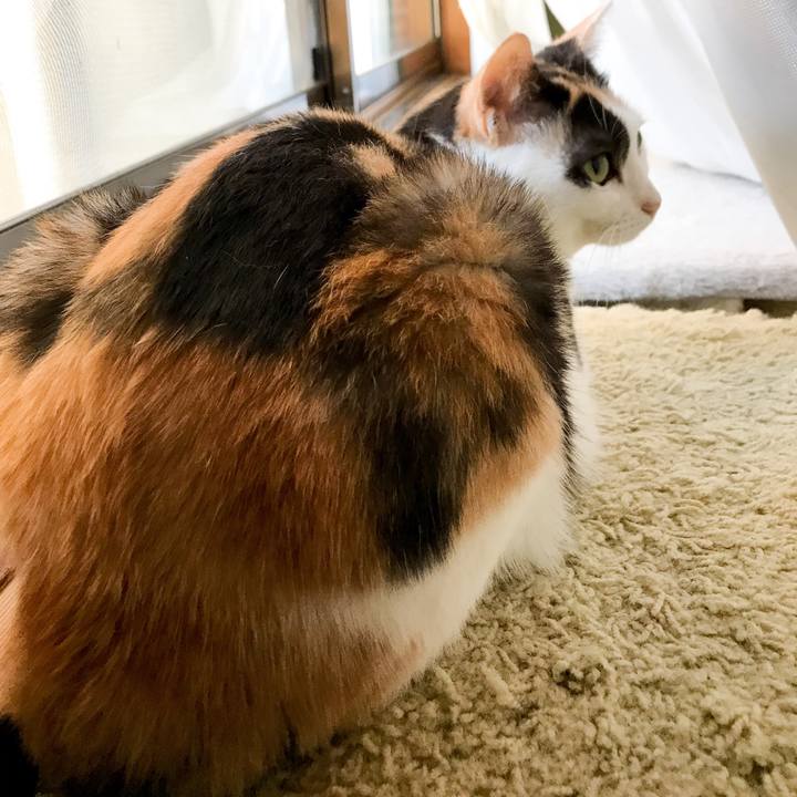 170e0fbd 85d4 4e5b 9a02 adf9ef776805 1534725045864