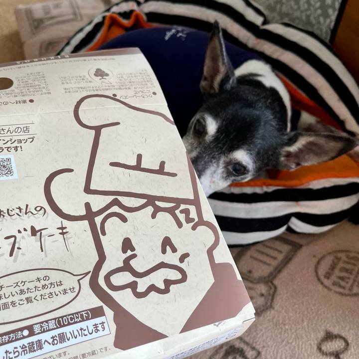 170e6b18 5e38 44b5 9b9c 7ac111a504fa 1647741018609