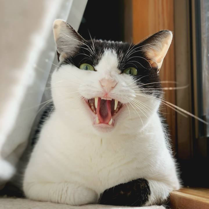 170e7d84 3add 4398 a24c 70e307946616 1584493228584