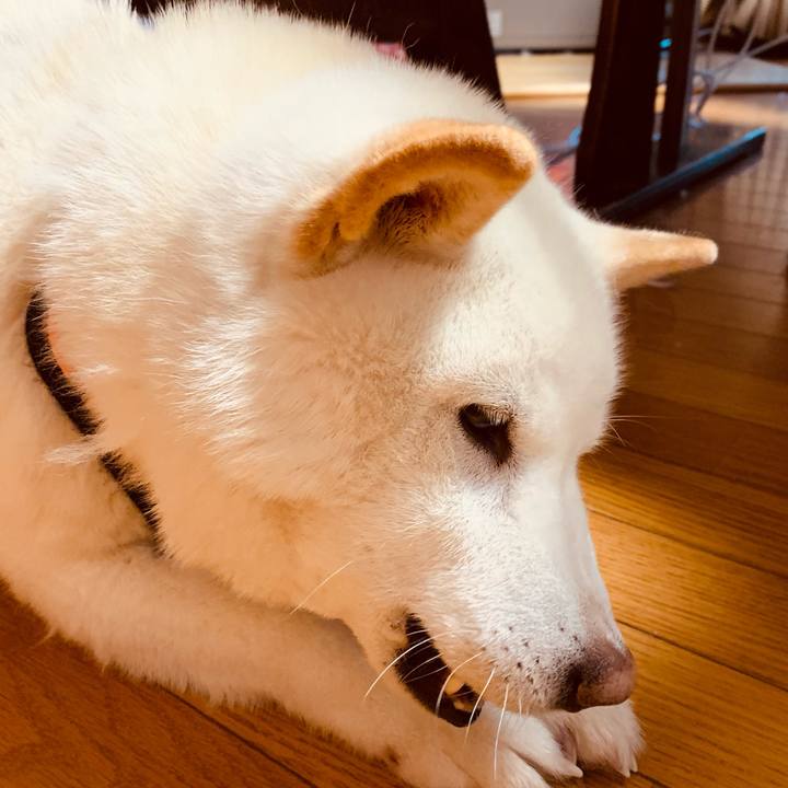 170eae71 2ab9 44b2 b66a 303c4e979721 1617695743574