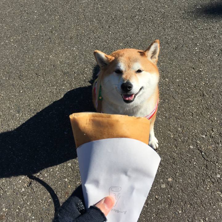 170f27ed a665 49df bdbf 4d4af35fb549 1611118642740