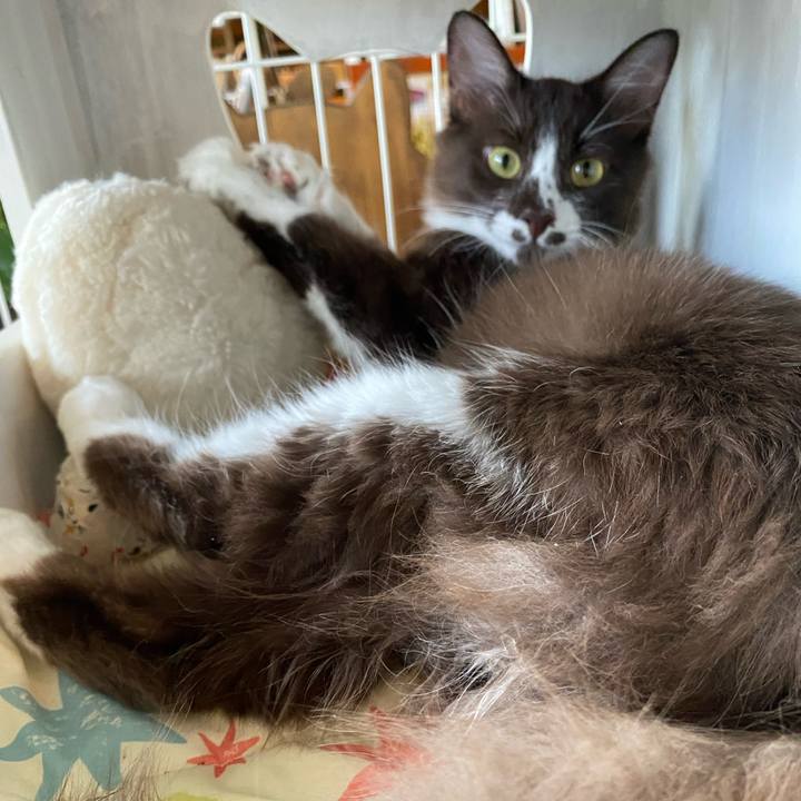 170f407e 10ac 41cc a77b 125260ba176c 1694849937793