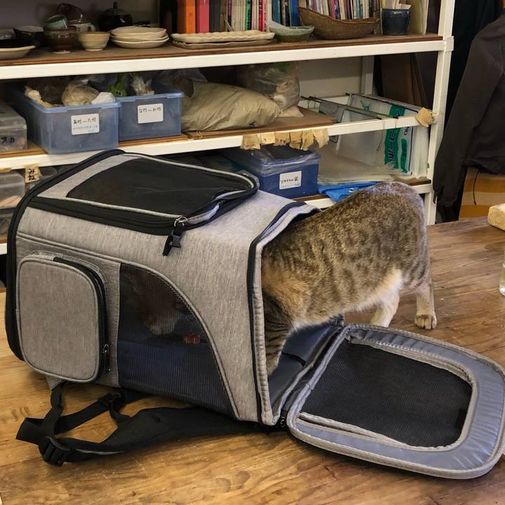 170f81de 43d9 4cd7 8b46 8dd210ca417a 1616750808700