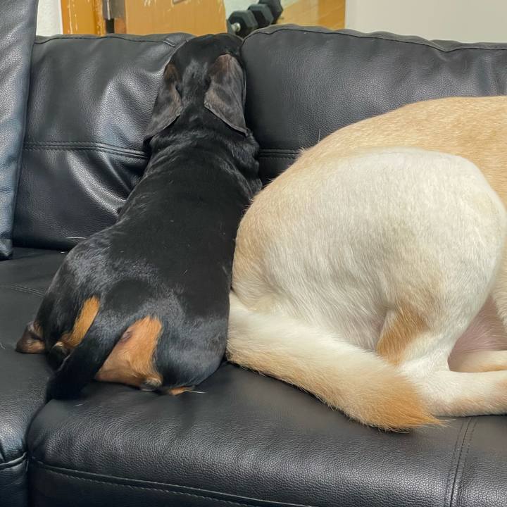 170f8a82 aec5 467a aaa1 5827f57d6e1f 1759823269438