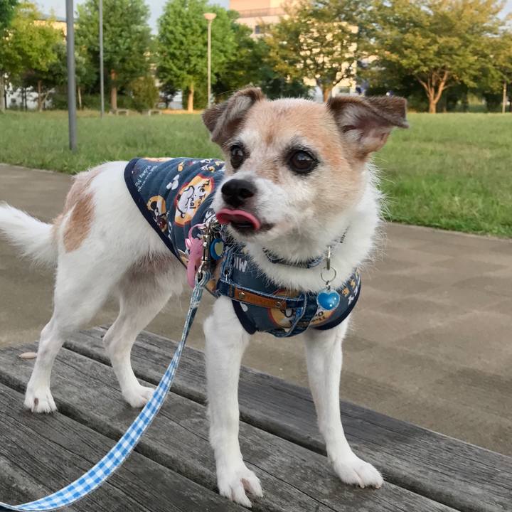 170fdb8f ee0f 4b73 a8e6 9d6cf7a96f05 1664920900984