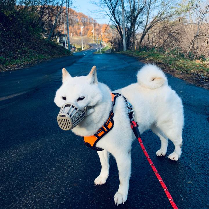 170fe632 c552 465c 9ebc f69d139a5fbc 1637284075276