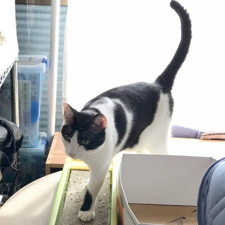 17100c8d 7e4f 4165 9423 bbe9191f5d2f 1532651216417