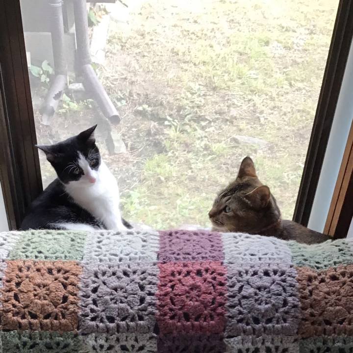 1710625f 76ec 4698 b0b8 5a53e56290ad 1633163120868