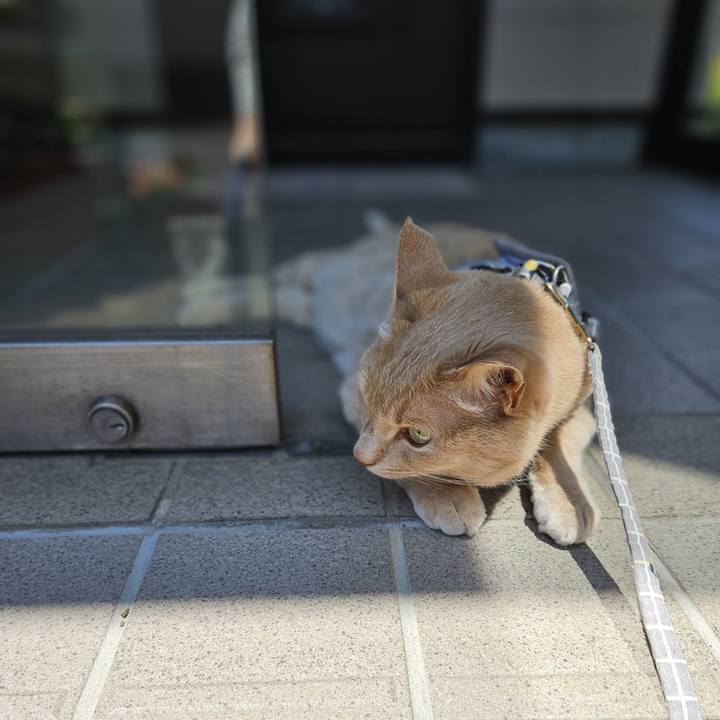 1710694d 71f9 4039 81e5 c8a5cd873a3d 1720842011698