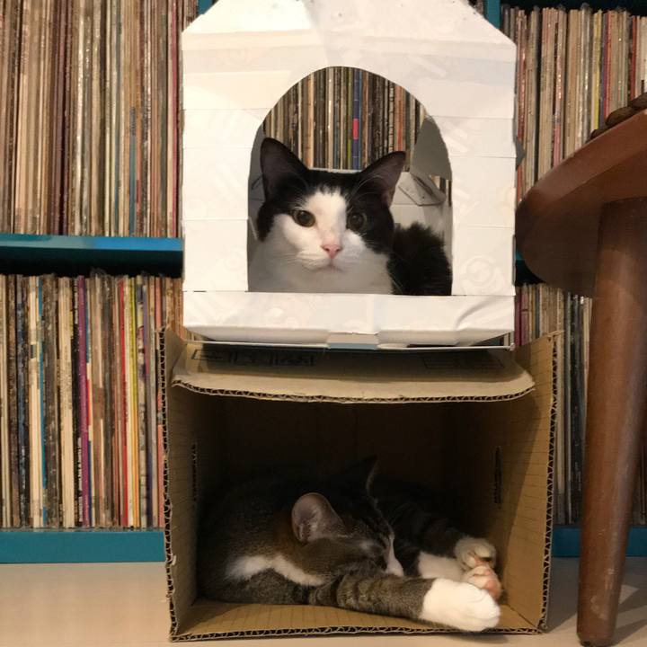 17107a40 155b 42bc 8f3a 403915cd0f93 1528619794069