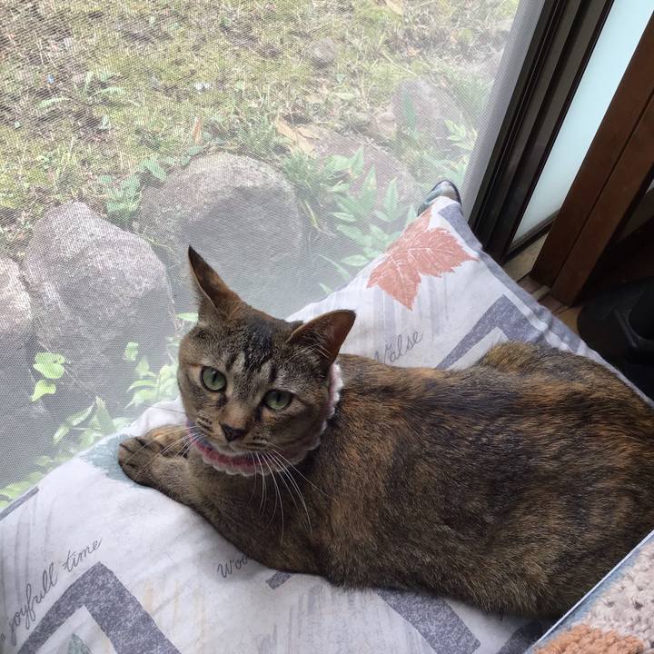 1710a5ef 7aa2 44d6 b77a 9f4b9c697463 1625623353273