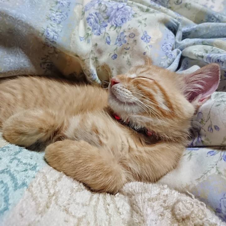 1710bed1 5e81 4fbf aaee 945758786bb1 1631881439919