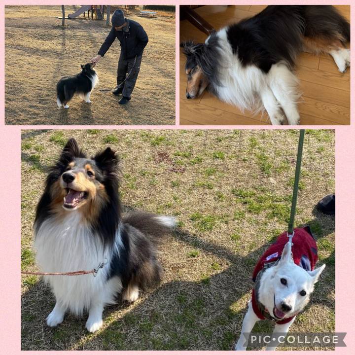 1710de84 dace 4323 909e 8c703f1f835c 1771821988584